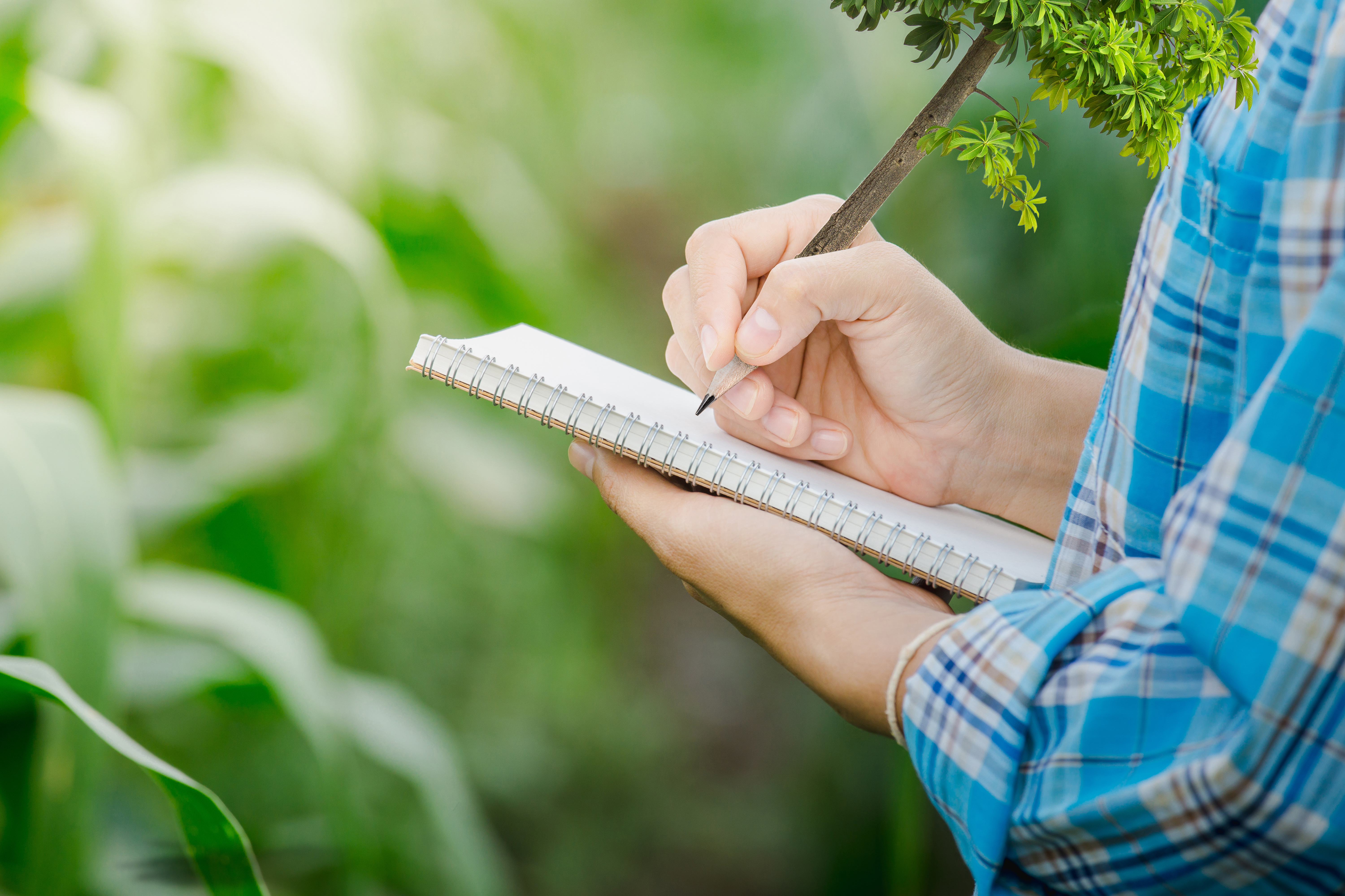 Mann steht im Garten und schreibt in ein Notizbuch